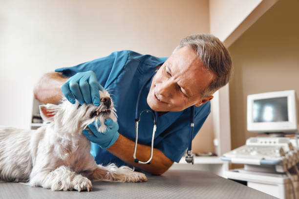 Best Urgent Dental Care  in Randleman, NC